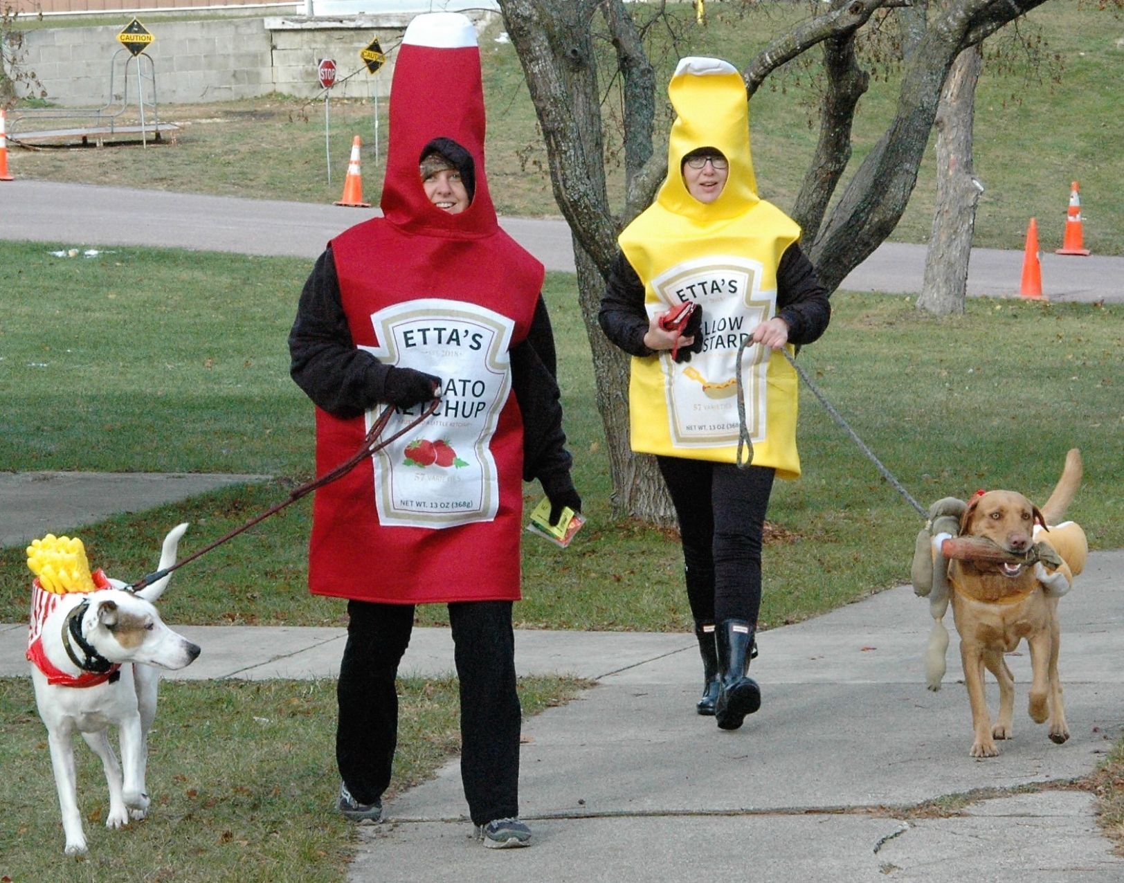 Paws Walk Mustard and Ketchup.JPG